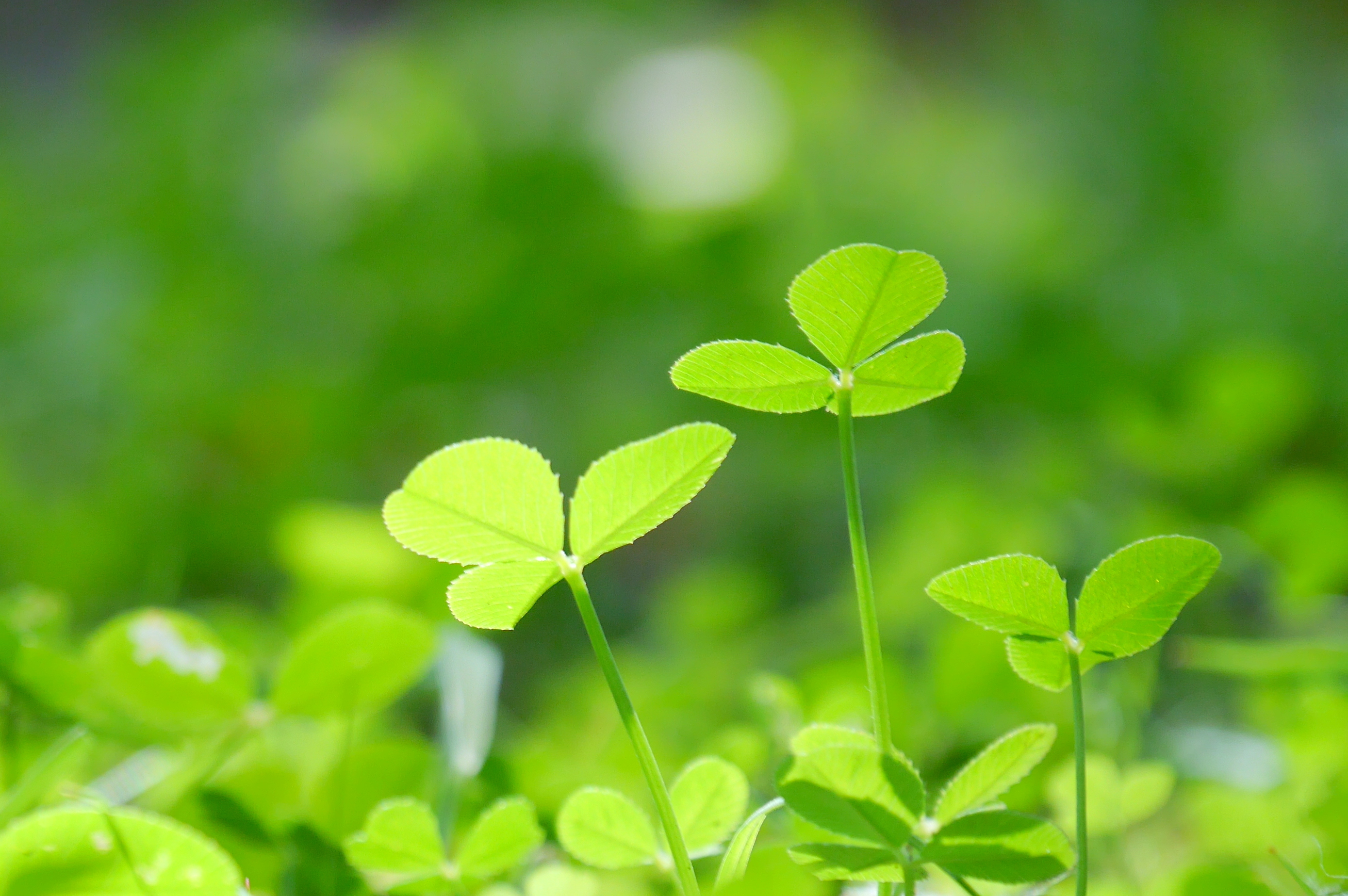 「がん」での障害年金受給はとてもハードルは高い