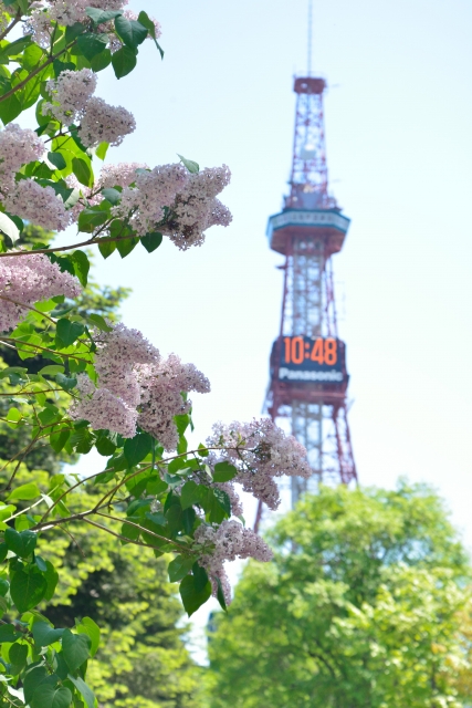 人工透析開始後腎移植し障害年金停止　再度悪化した場合年金は復活するのか？