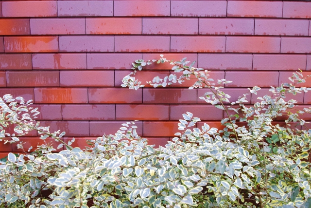 障害年金請求における　社会的治癒とはなんでしょう
