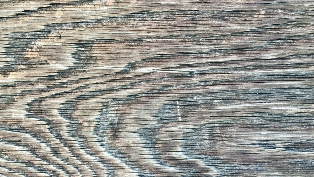 眼の障害の相談（請求）事例です。