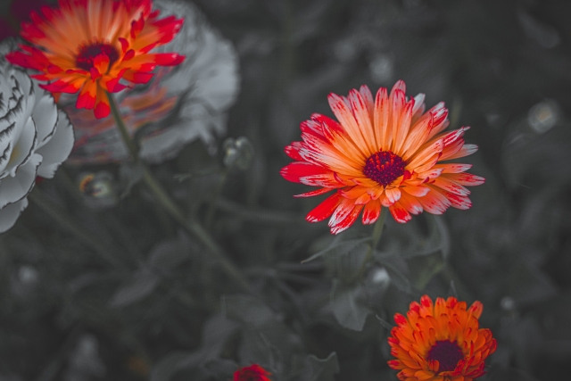 障害年金　遡及請求「遡り」について考察します