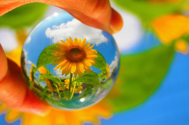 統合失調症　３２歳男性　２０歳前の受診状況等証明書が取れない