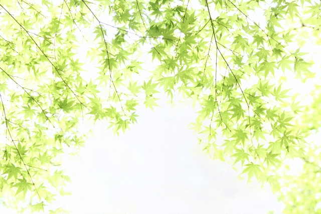 精神の障害年金　一人暮らしでは受給は無理？