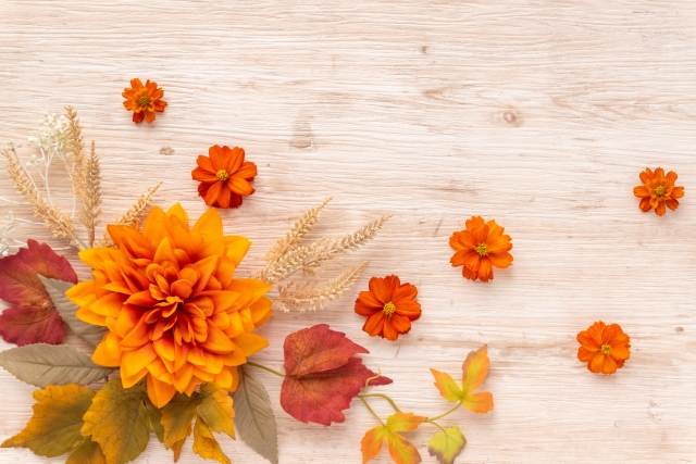 精神科医・松本俊彦先生がユーチューブ「街録Ch」に出演していました