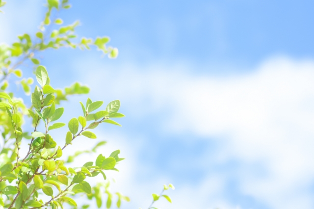 障害者手帳等取得で自動車税が軽減されます