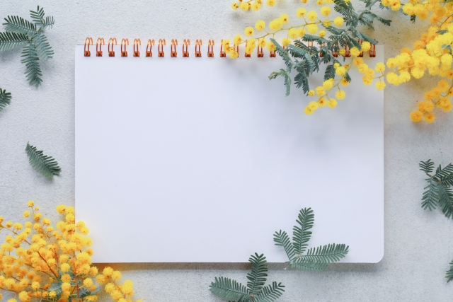 療育手帳がなければ知的障害で障害年金は請求できないのか？