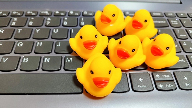 障害年金申請中に年金の納付書が届く　支払わないとダメか？