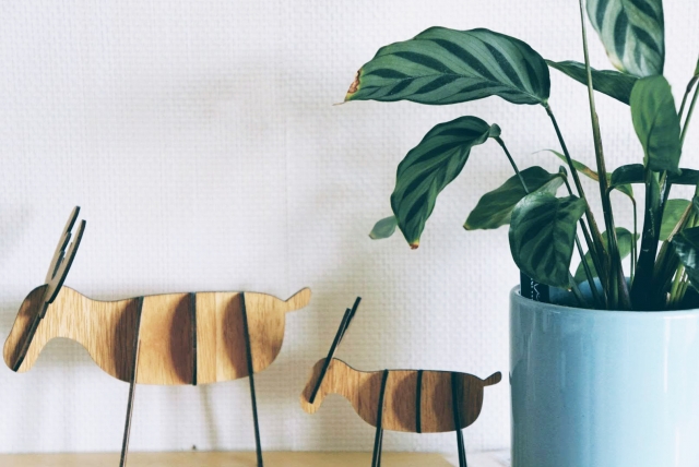 喉頭がんで喉頭全摘出　障害年金請求のタイミングは？