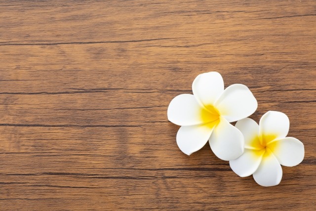 全身性エリテマトーデスと抗リン脂質抗体症候群の因果関係