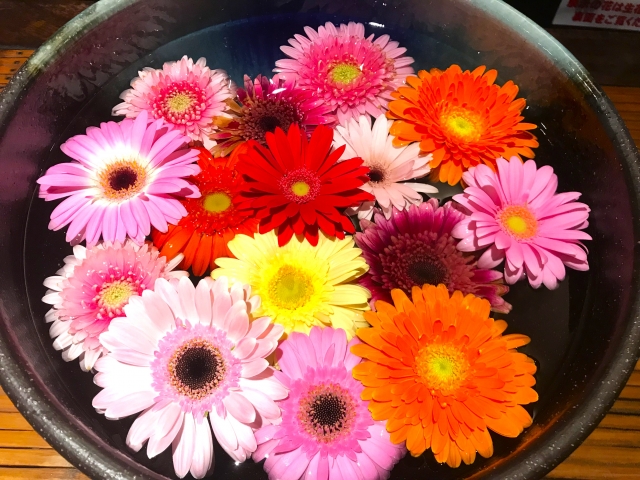 脳出血で遷延性植物状態　障害認定日は１年６カ月待たねばダメなのか