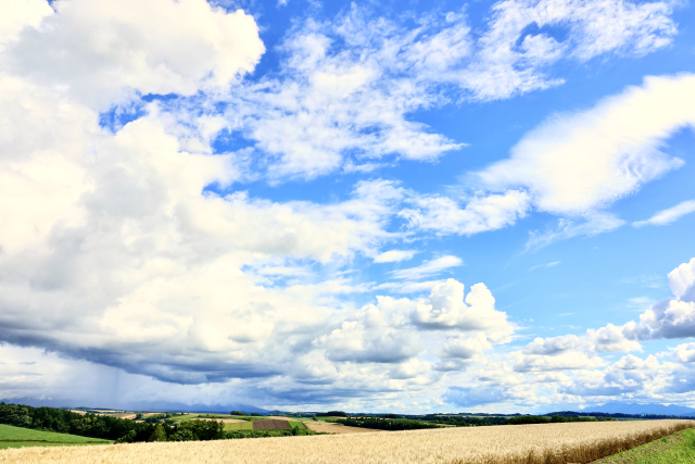精神の障害年金　医師から診断書記載を断られた理由は？