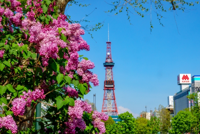 アルコール依存症と転倒による小脳出血　高次脳機能障害での障害年金の請求