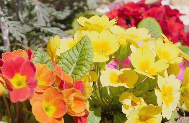 共同通信の障害年金の記事「支給の可否などの判定を委託している医師の一部に対し、支給を絞る方向で判断を誘導している可能性がある」